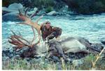 earl__s_caribou
