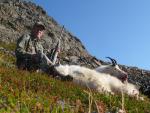 alaska_fall_2009_goat_tom