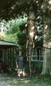 charles_johnson__s_13__10_alligator