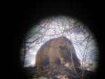 bear_hunting_spring_2008_056