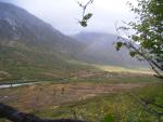 bear_valley