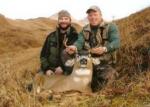 kodiak_buck