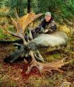 02_moose__2_