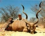 59_kudu__2_