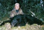 ak_bear__2_