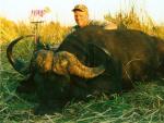 buffalo__2_