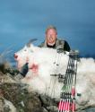 kenai_goat