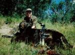 minam_bear_95__2_