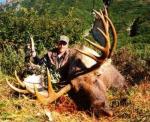 moose_2001__2_