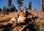 or_bull_94__2_
