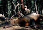 or_elk_92__2_