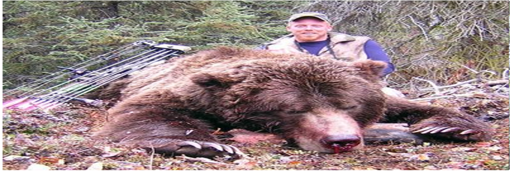 Alaska Guided Bear Hunts | Alaska Hunting Trips