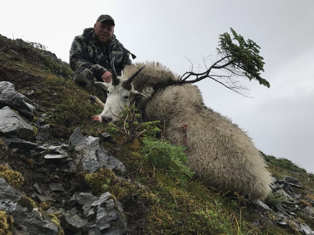 Alaska Guided Bear Hunts | Alaska Hunting Trips