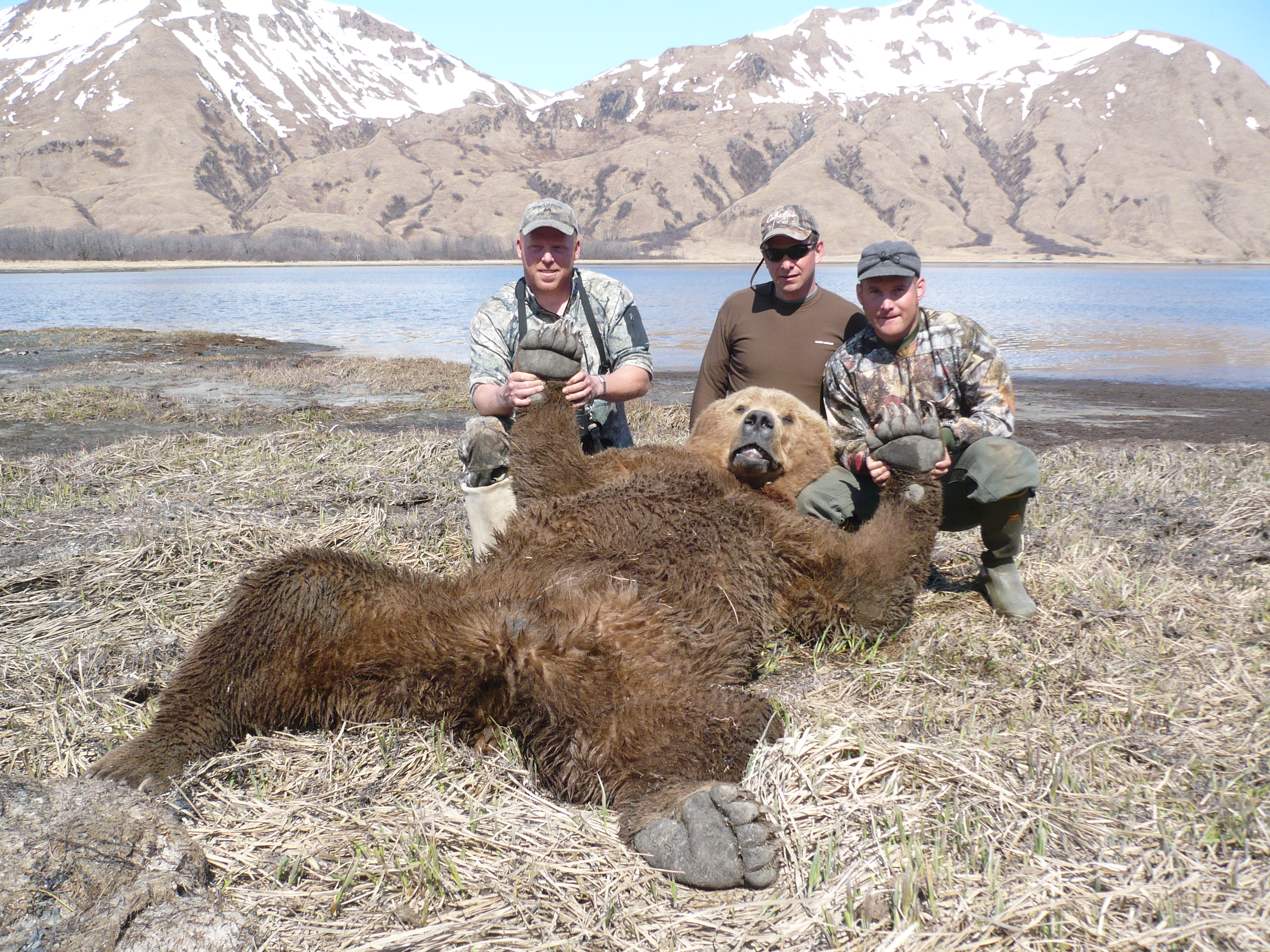 Hunting Alaska – Brown Bear Hunts – Alaska Guided Bear ...